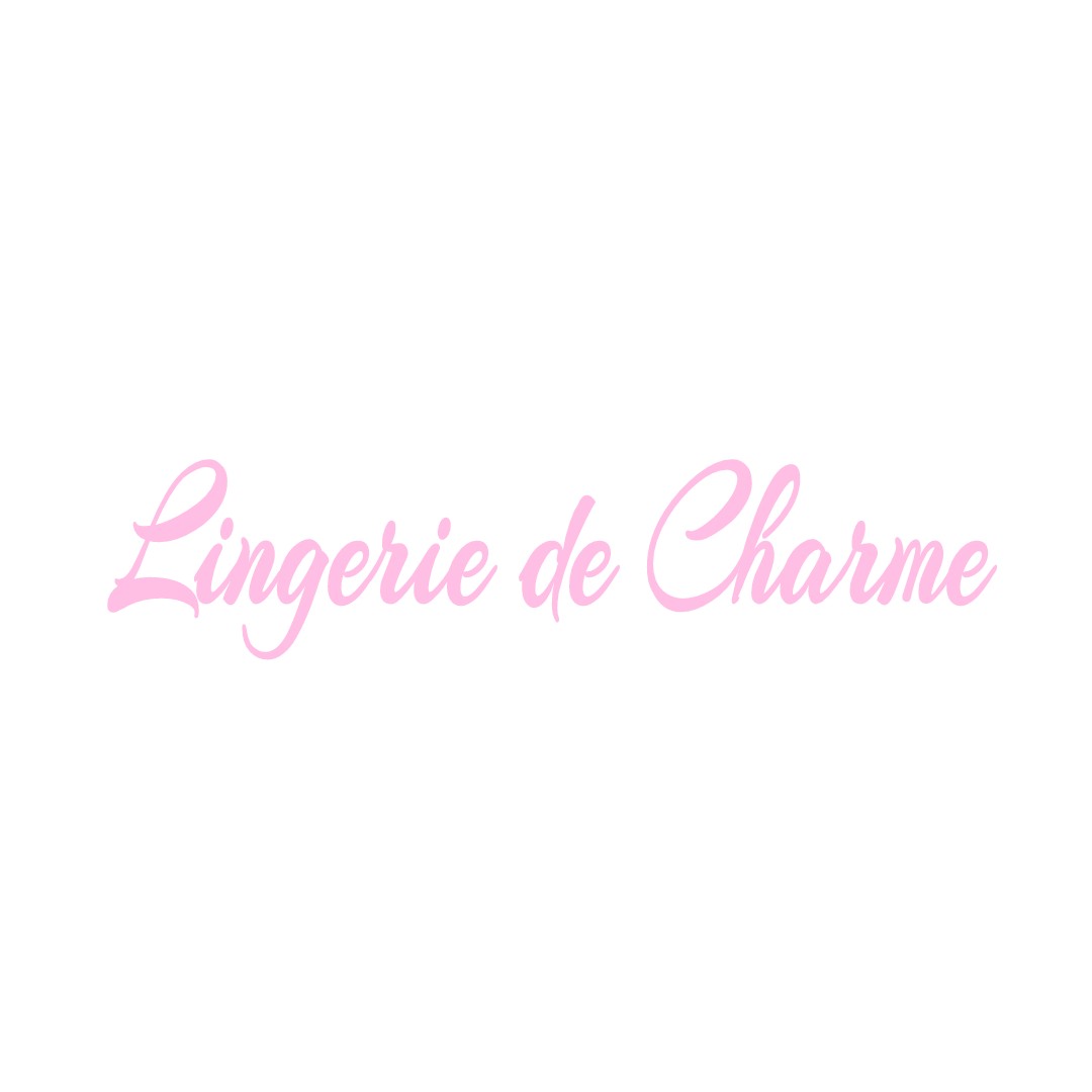 LINGERIE DE CHARME CHEVREGNY